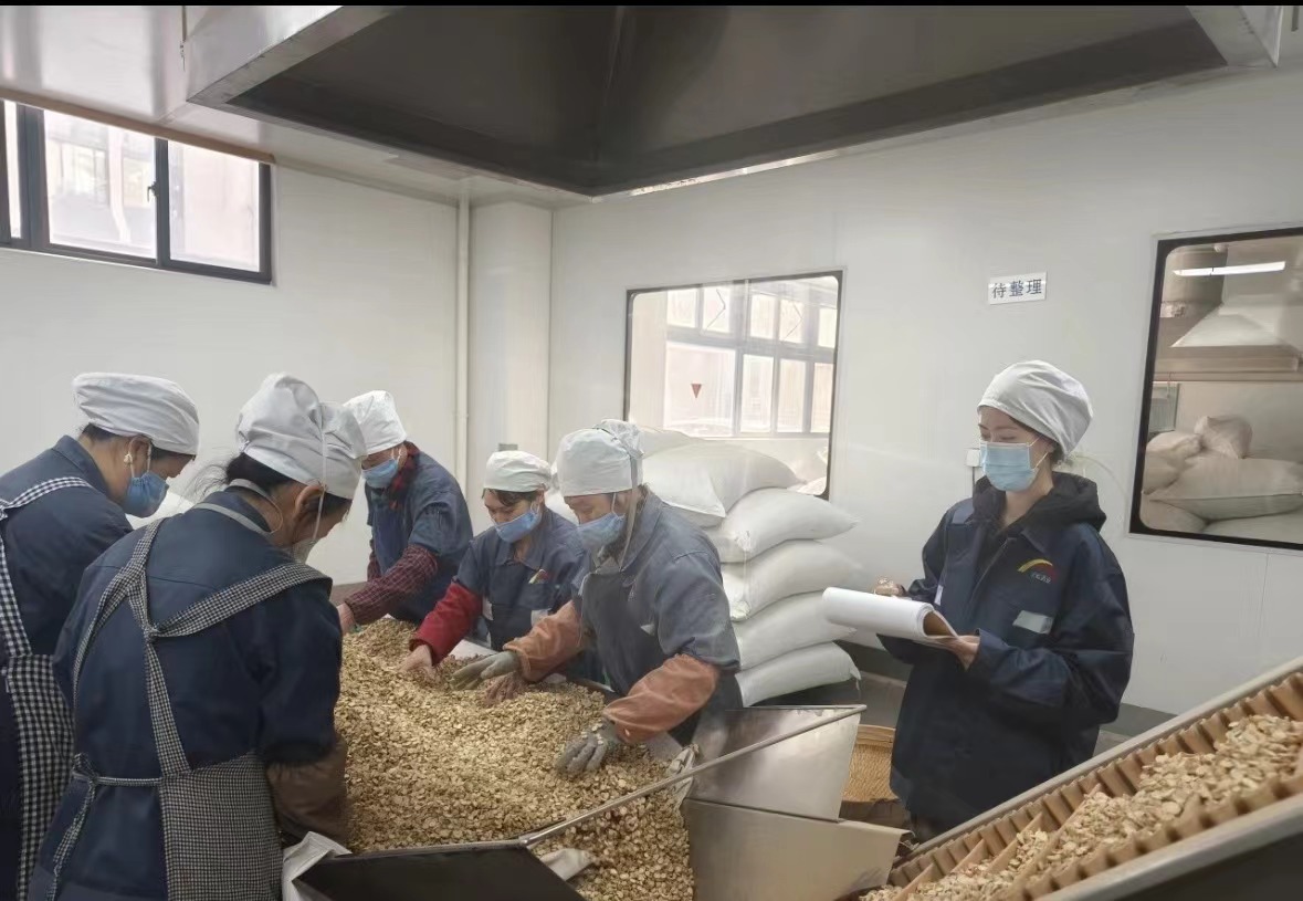 شرکت Qingdao Biohoer Biotech Co. ، Ltd. به طور رسمی ساخت و ساز را آغاز کرده است