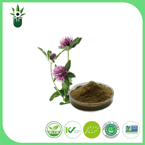 عصاره Medicago sativa L